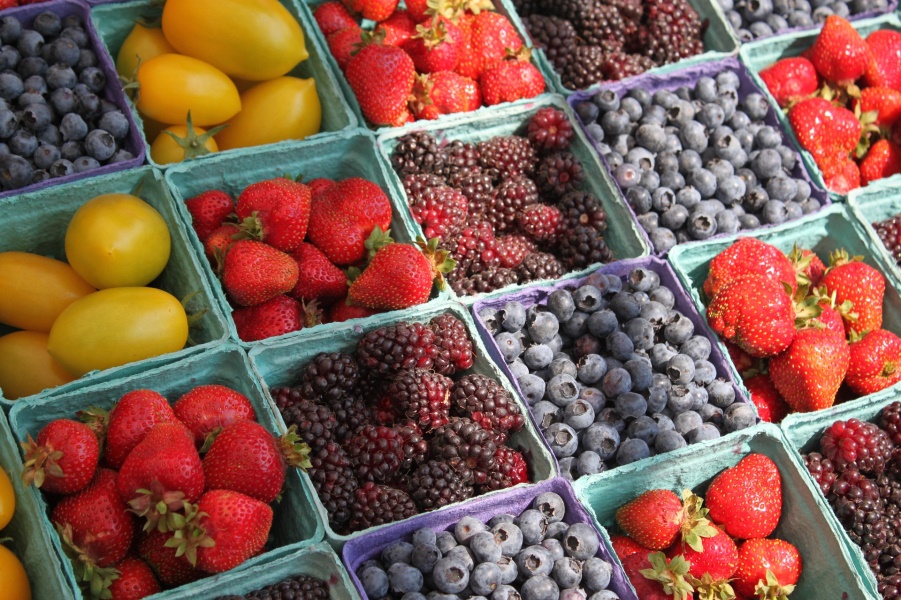 farmers market - fruit